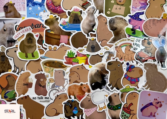 Capybara Stickers Pack, Cute Chill Animal Meme Decals, Waterproof Vinyl for Laptop Water Bottle Notebook, Funny Gift, Kids Goodie Bag Set