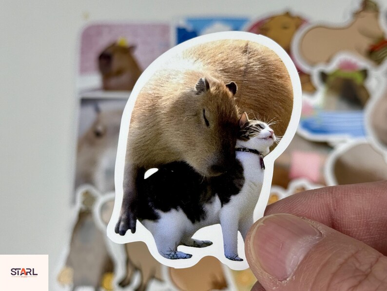 May include: A sticker featuring a capybara and a cat. The capybara is brown, and the cat is white and black. The sticker is held by a hand, with other stickers visible in the background.