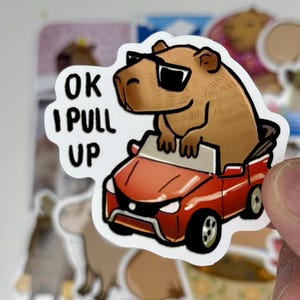 May include: A sticker featuring a cartoon capybara wearing sunglasses and driving a red convertible. The sticker has the text "OK I PULL UP" in black and white. The capybara is brown and the car has black wheels.