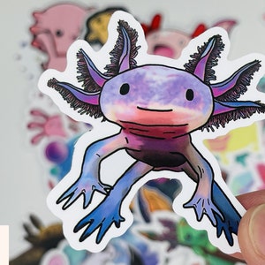 Op de afbeelding: Een sticker met een cartoon-axolotl in een paars, roze en blauw kleurenschema. De axolotl heeft een vriendelijke uitdrukking en is afgebeeld met gevederde kieuwen.
