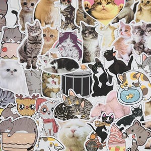 10-50 Pcs Cat Stickers, Vinyl Stickers, Random pack, FREE Shipping laptop stickers, Anime Sticker, waterproof, Hydro flask, party Favor