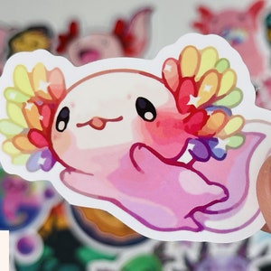 Op de afbeelding: Een roze axolotl met regenboogkleurige kieuwen en witte sterren. De axolotl is een populair huisdier en wordt vaak een "wandelende vis" genoemd.