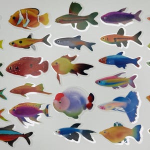 Colorful Fish Stickers – Aquarium & Tropical Fish Decals for Laptops, Water Bottles, Journals, Scrapbooking