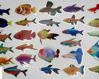 Tropical Fish Stickers Pack, Realistic Aquarium Fish Vinyl Decals, Colorful Ocean Animal Stickers for Laptop, Water Bottle, Kids Goodie Bag
