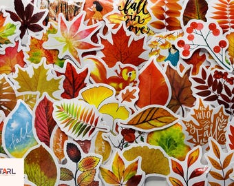 Paquete de pegatinas de hojas de otoño, vinilo con follaje de acuarela de estética otoñal, decoración para agendas, cuadernos y álbumes de recortes, regalo acogedor, bolsa de regalos de Acción de Gracias