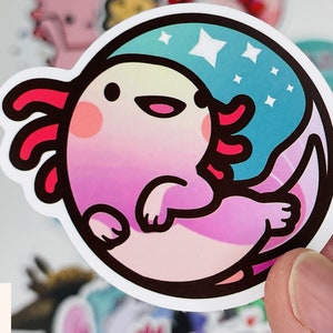 Op de afbeelding: Een roze en paarse axolotl sticker met een blauwe en witte sterrenachtergrond. De axolotl glimlacht en heeft een roze en rode kraag.