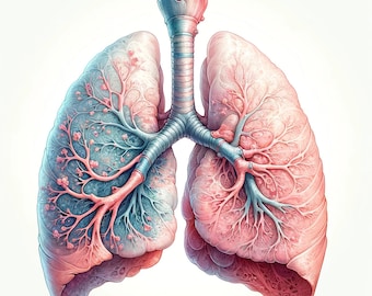 Watercolor Lung Cross-Section Illustration