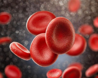 Crimson Ballet