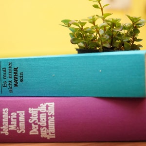 Pflanzgefäss aus Büchern, Blumentopf, Übertopf "Johannes Mario Simmel, Der Stoff aus dem die Träume sind + Es muss nicht immer Kaviar sein"