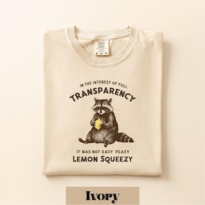 In The Insterest Of Full Transparency It Was Not Easy Peasy Lemon Squeezy Raccoon Comfort Colors T-Shirt, 90s Shirt, Raccoon Trash Panda Tee