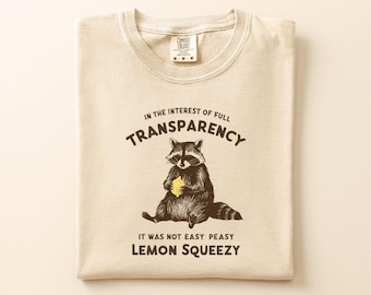 In The Insterest Of Full Transparency It Was Not Easy Peasy Lemon Squeezy Raccoon Comfort Colors T-Shirt, 90s Shirt, Raccoon Trash Panda Tee