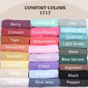 Hockey Romance T-shirt Don’t Blush 44 Tee Bookish Hockey Shirt Romance Reader Gift Briar University Graham 44 Comfort Colors Booktok Tee Other Colors