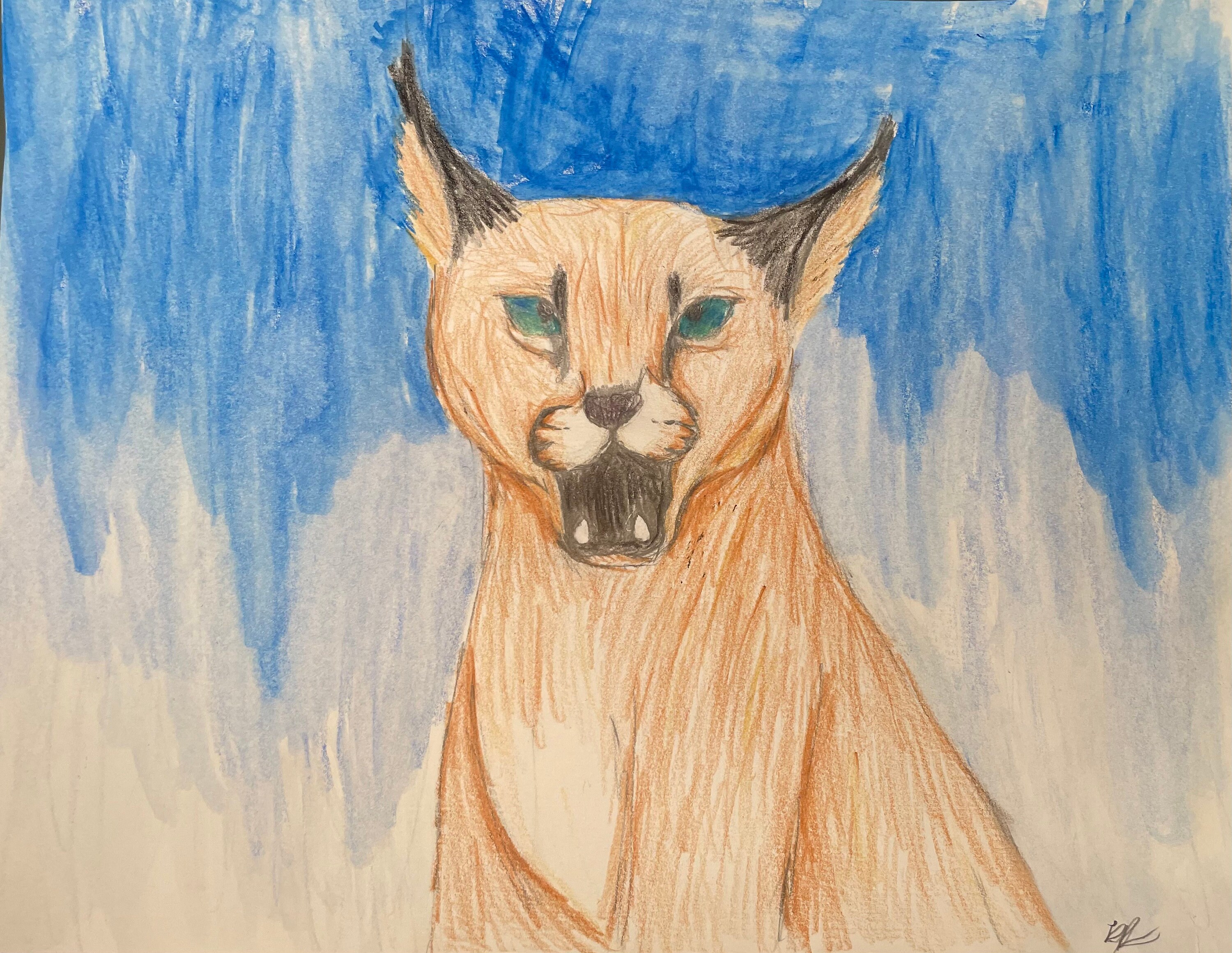 caracal drawing