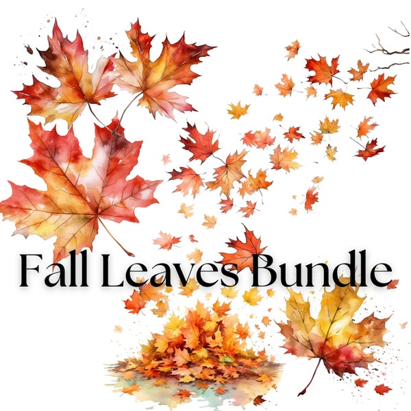 Fall Leaves PNG download, Fall Leaves Clipart, Fall Maple Leaves, Fall Leaves PNG Bundle