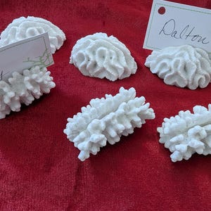 May include: A collection of six white, textured, coral-like place card holders. Two holders feature rectangular white cards with the handwritten names Kelly and Dalton. The objects have a porous, organic appearance with intricate, branching details.