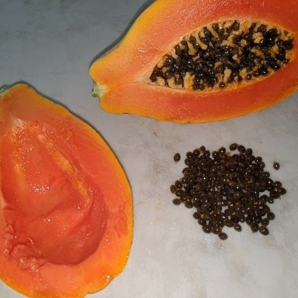 Hawaiian Papaya Seeds Organic 'Sunrise' & 'Sunset' Mixed Variety, x10, x25, x50
