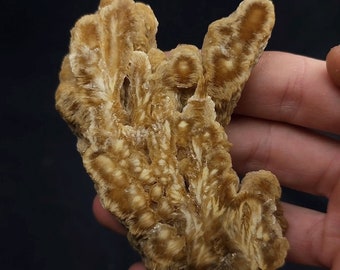 Barita de Lubin Polonia 142g