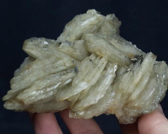 Barita de Bou Nahas, Marruecos - 1 lb 5 oz