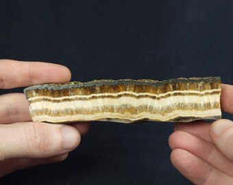 Baryte and marcasite from Lubin Poland 181g