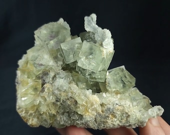 Fluorite de Mongolie-Intérieure 1 lb 4 oz
