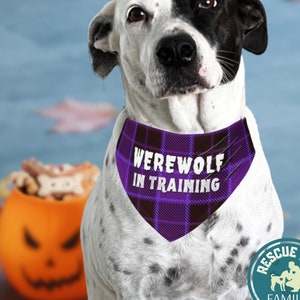 Halloween Dog Bandana Collar &quot;Werewolf in Training&quot;, Halloween Dog Costume, Cute Dog Bandana Costume Gift, Gift for Dog People & Pet Lover
