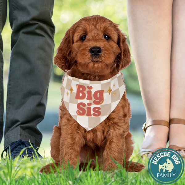 Baby Announcement Dog Bandana for Photo, Big Sis Dog Sign for Birth Reveal, Retro Checkered Puppy Collar for Pregnancy Photos