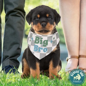 Big Bro Dog Bandana for Pregnancy Reveal, Baby Announcement Photo Prop for Dog, Big Brother Checkered Dog Bandana Collar