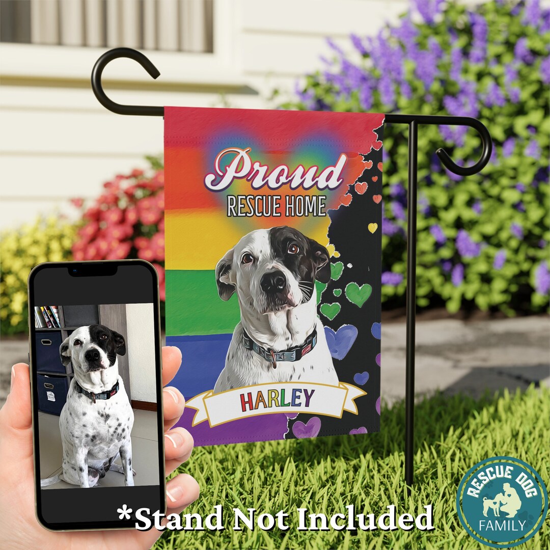 Paw Pride LGBTQ Hunde-Shirt – Schwarz, Größe 3XL, Aus 100% Ringgesponnener Baumwolle, Mit Doppelnaht-Bündchen