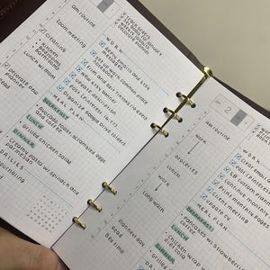 May include: A daily planner open to January 1st and 2nd, featuring a grid layout with gold rings. The pages contain handwritten task lists, meal plans, and schedules with checkmarks. The text includes headings like AM routine, Work, Meal Plan, and Dailies.