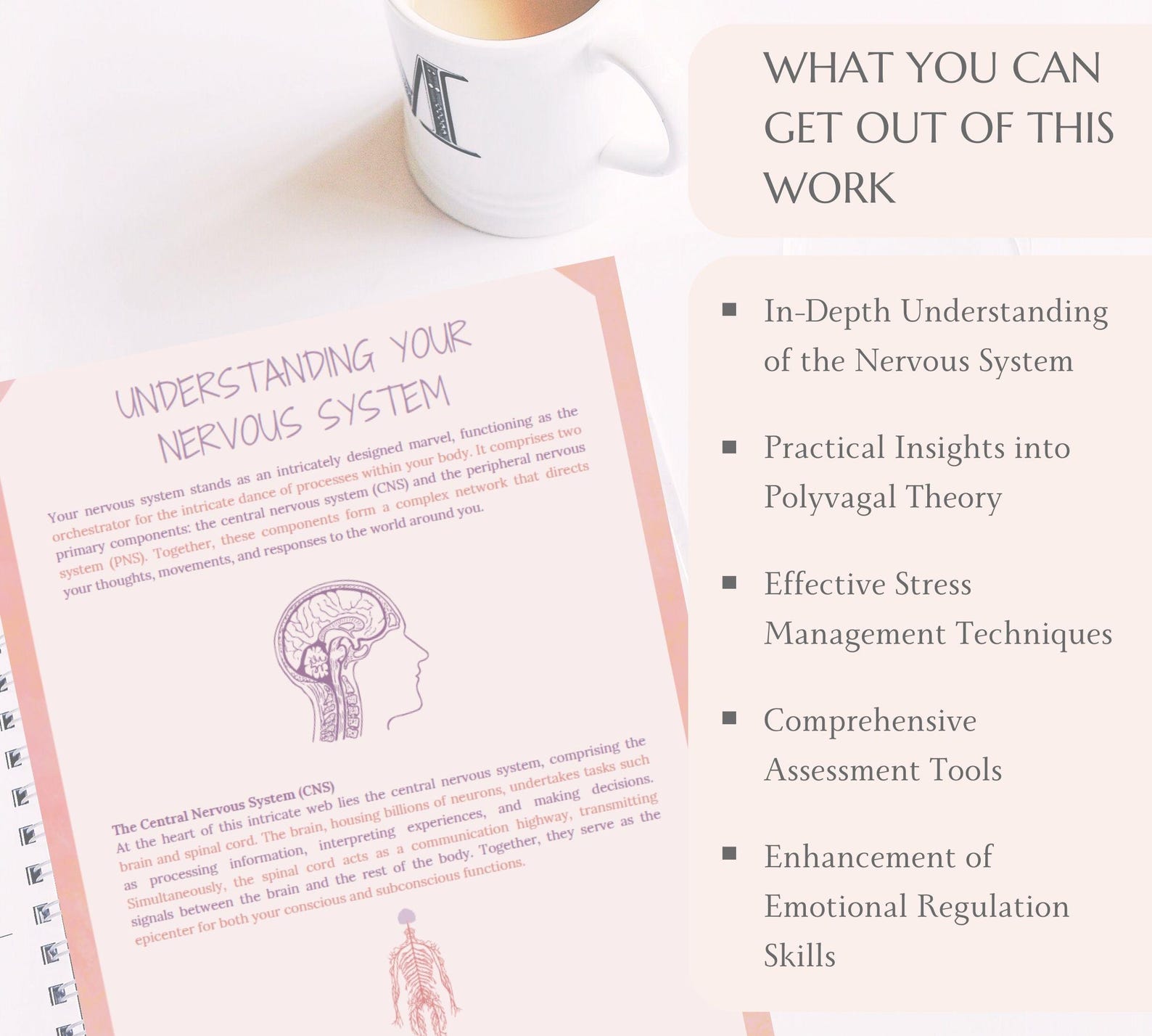 Nervous System Regulation Worksheets Trauma Coping Skills Workbook ...