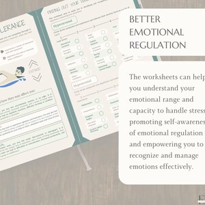 Zones of Regulation Coping Skills Emotional Regulation CBT PTSD Window ...