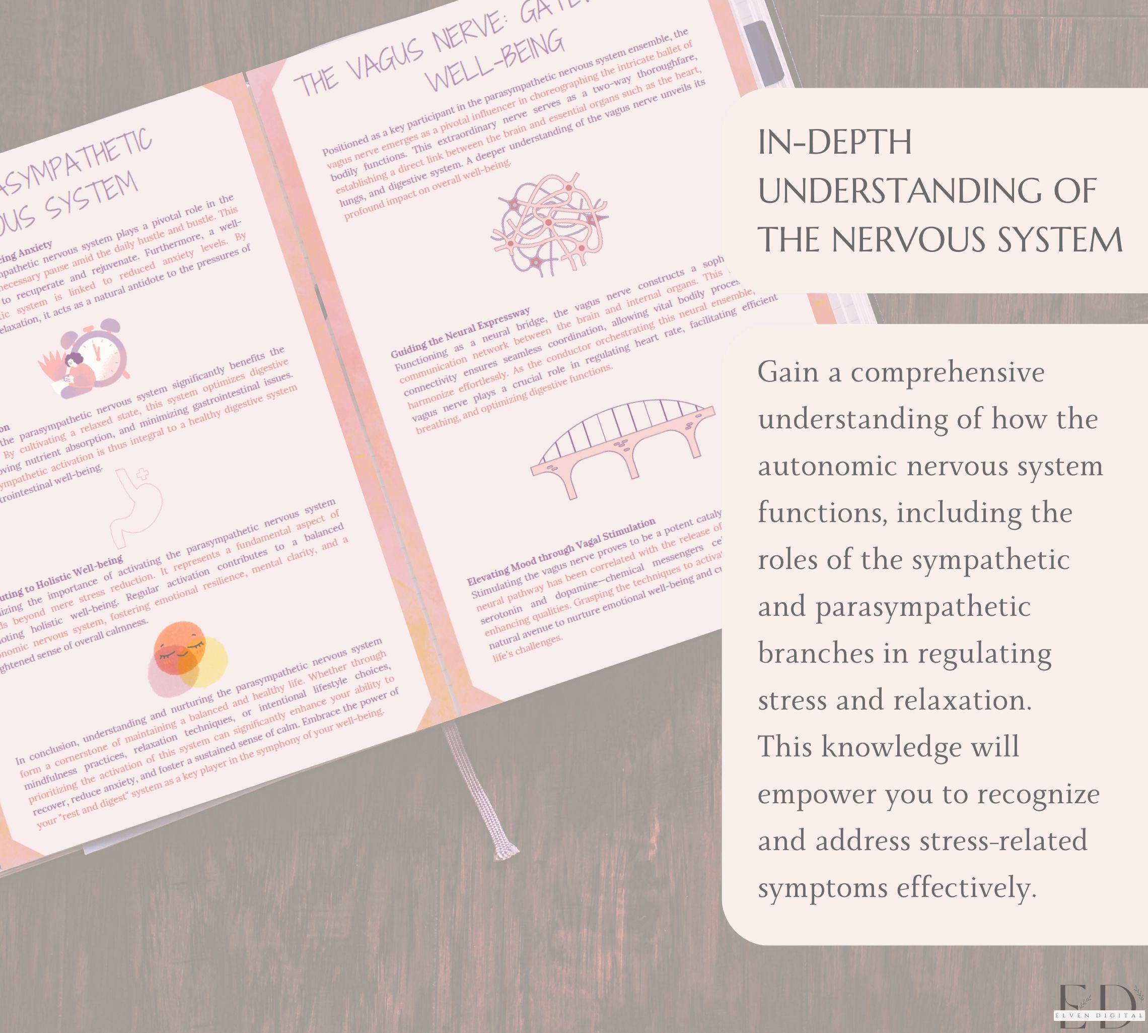 Nervous System Regulation Worksheets Trauma Coping Skills Workbook ...