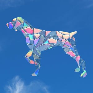 Può includere: Una colorata silhouette di cane contro un cielo blu brillante. Il cane è riempito con un motivo a vetrata di tonalità rosa, blu e gialle. L'immagine evoca un senso di fantasia e stile artistico, perfetta per l'arte murale.