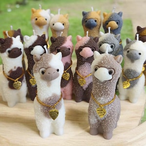 Alpaka,Lama Kerzen mit Flecken, Geflecktes Alpaka Bunte Alpaka Kerzen Kerzen aus Sojawachs,vegan, handgefertigt, Gastgeschenke, Geschenkidee