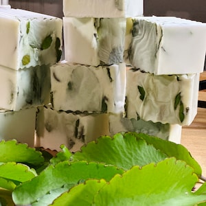 Miracle Leaf Bar Soap