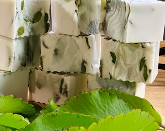 Miracle Leaf Bar Soap