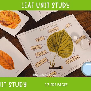 Printable Leaf Unit Study | Nature Study | Kids Botany | Homeschool