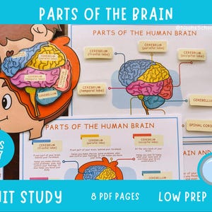 Könnte beinhalten: Lehrmaterial mit dem Titel "Teile des Gehirns" für Kinder im Alter von 4-7 Jahren. Das Bild zeigt farbenfrohe Diagramme des menschlichen Gehirns, beschriftet mit Begriffen wie "Cerebrum" und "Cerebellum". Der Text enthält auch "Unit Study", "8 PDF-Seiten" und "Low Prep".