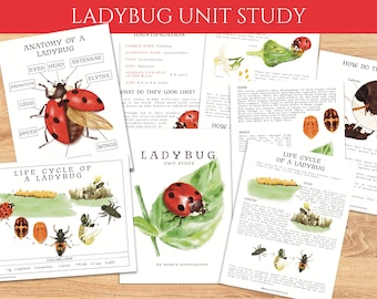 Printable Ladybug Unit Study | Homeschool