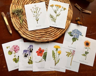 Printable Flower Identification  Flashcards | Watercolor Flower ID Cards | Homeschool | Toddler Activities | Classroom Decor