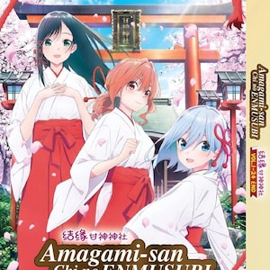 DVD Anime Amagami-san Chi No Enmusubi(1-24End) Complete Box Set English Dubbed and All Region-Free Express Shipping