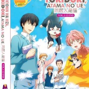 DVD Anime Doukyonin Wa Hiza,Tokidoki,Atama No Ue (1-12Ende) DVD Englische Version ~ DVD Box Set und alle Region Express Versand