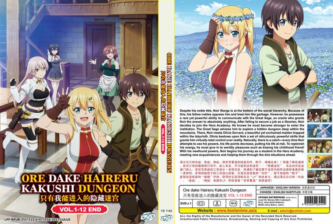 Ore Dake Haireru Kakushi Dungeon(1-12end) English Dubbed ~anime DVD Box - Ore Dake Haireru Kakushi Dungeon Season 2