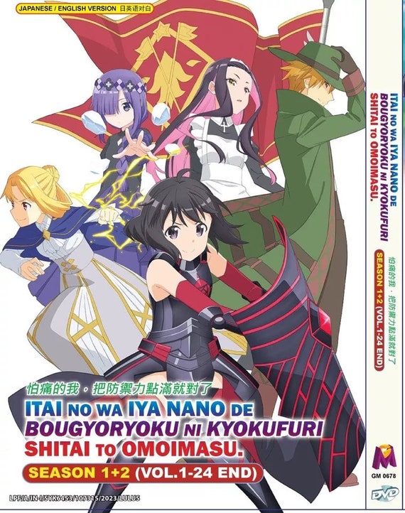 DVD 痛いのは嫌なので防御力に極振りしたいと思います。 全