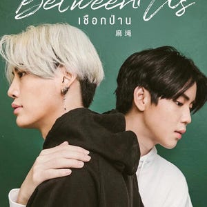DVD Thailand Drama~Between Us(Volume 1-12End+Special) Complete Box Set English Subtitle and All Region-Free Express Shipping