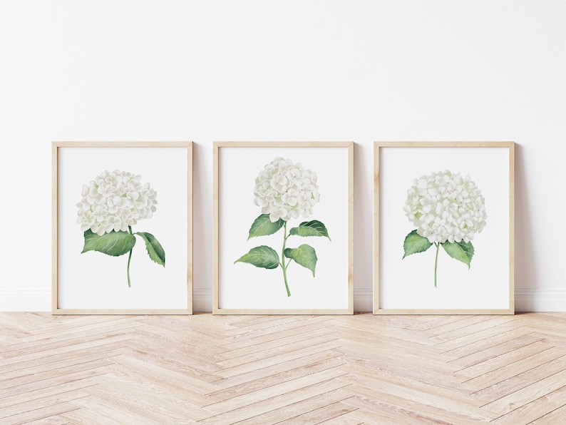 White Hydrangea Set of 3