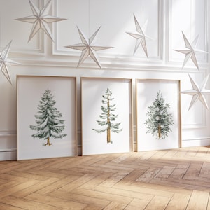 May include: Three framed art prints with watercolour illustrations of evergreen trees. The prints have gold frames and are displayed on a wooden floor. White paper star ornaments hang from the ceiling, creating a festive holiday theme.