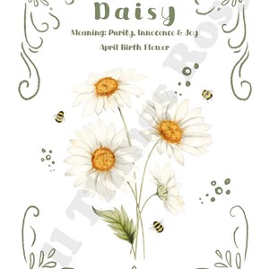 April Birth Flower Print, Birth Flower Wall Art, Daisy Print, April Birth Flower Gift image 3