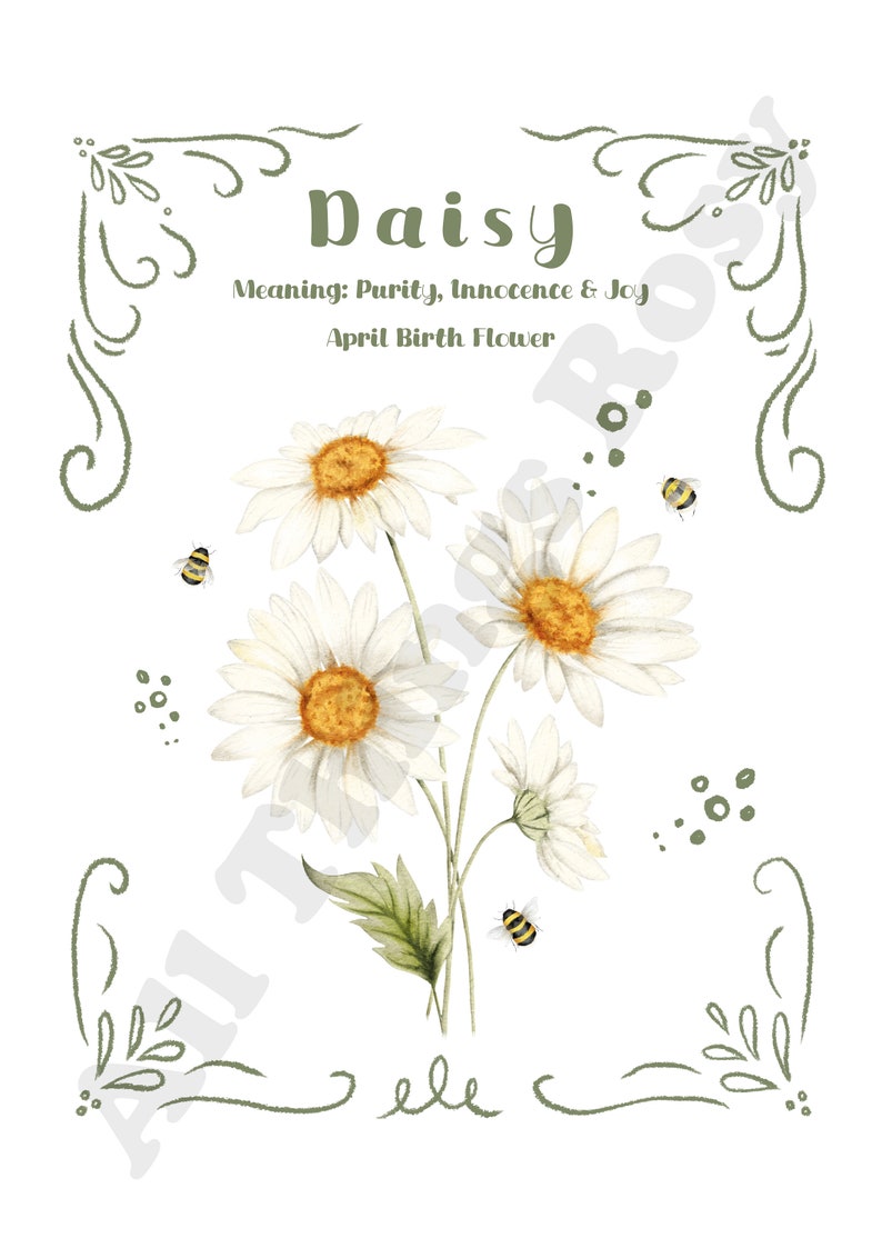 April Birth Flower Print, Birth Flower Wall Art, Daisy Print, April Birth Flower Gift image 3