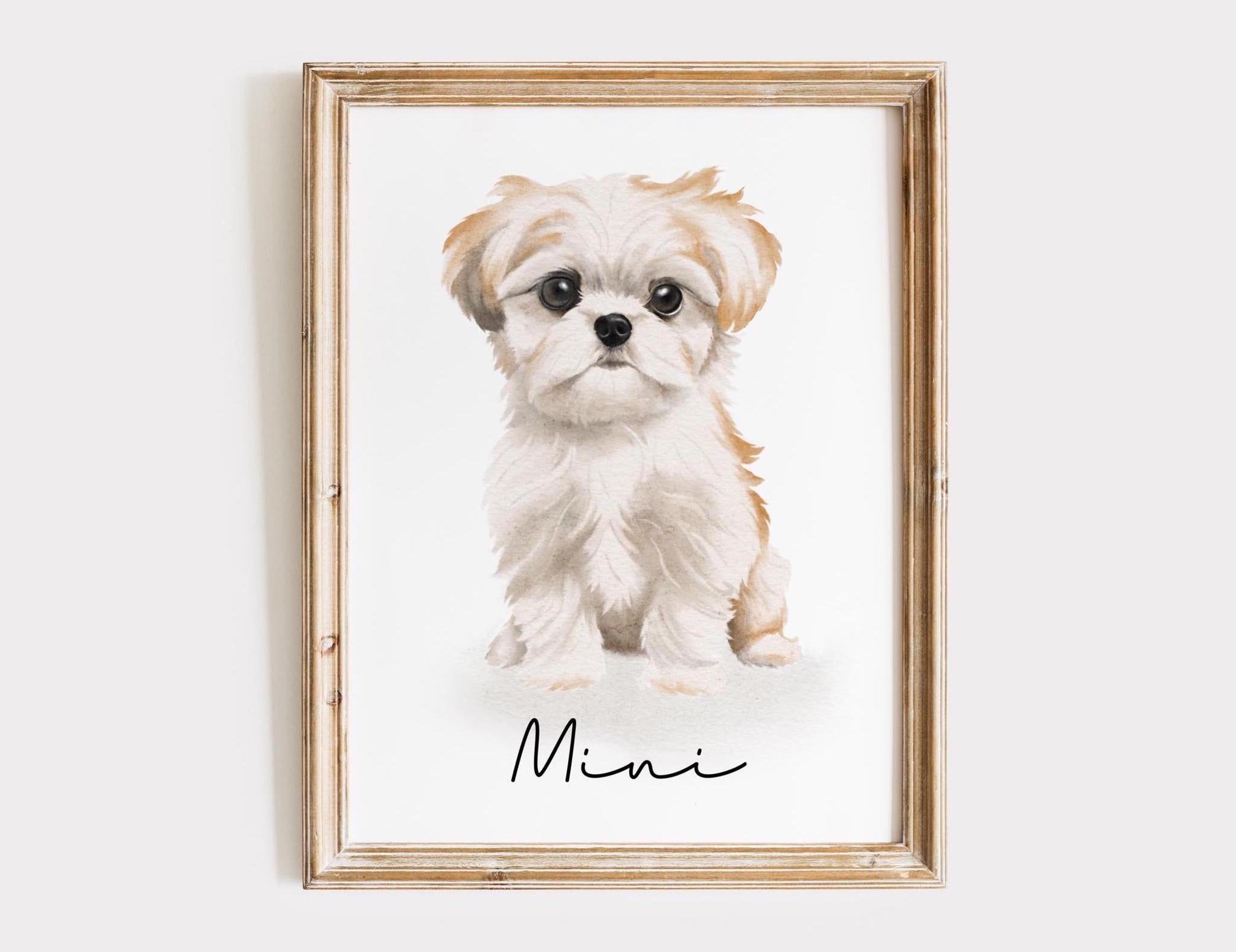 Personalised Shih Tzu Print: Ideal Dog Wall Art For Pet Lovers